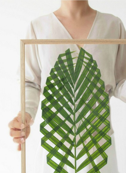 Wallart Con Plantas Decoratualma